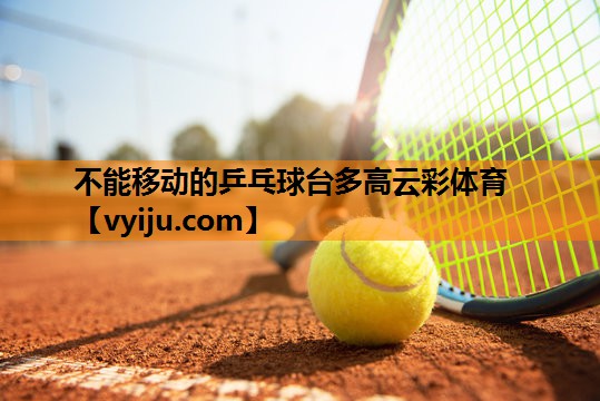 不能移动的乒乓球台多高云彩体育