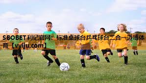 SBOBET利记官网：标准桌球台乒乓球台二合一迈博体育