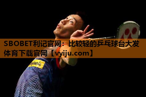 SBOBET利记官网：比较轻的乒乓球台大发体育下载官网