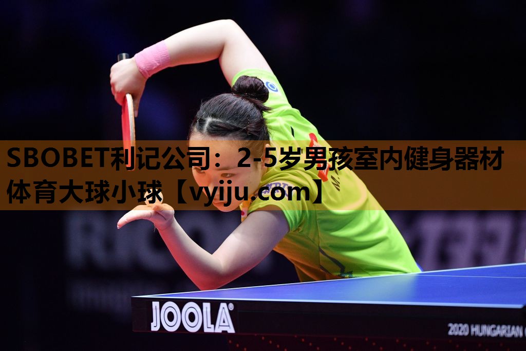 SBOBET利记公司：2-5岁男孩室内健身器材体育大球小球