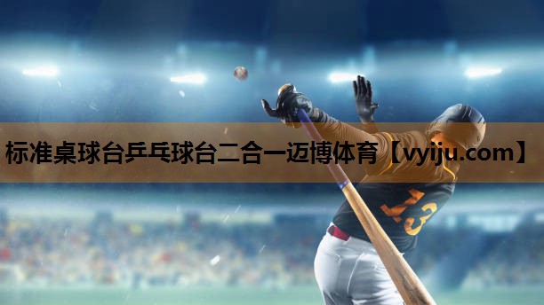 标准桌球台乒乓球台二合一迈博体育