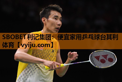 SBOBET利记集团：便宜家用乒乓球台其利体育