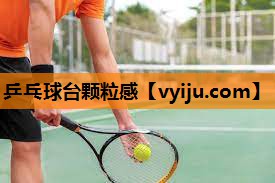 乒乓球台颗粒感