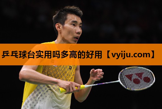 乒乓球台实用吗多高的好用 乒乓球台实用吗多高的好用