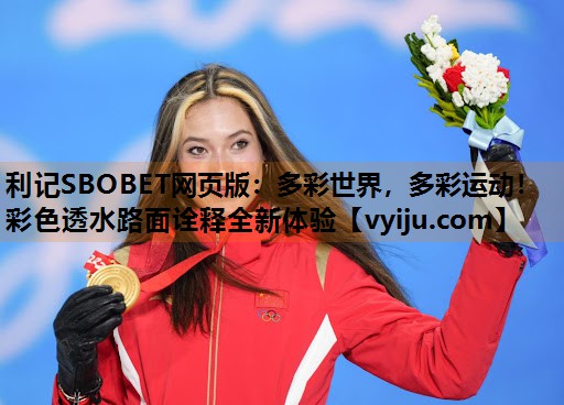 多彩世界,多彩运动!彩色透水路面诠释全新体验 多彩世界,多彩运动!彩色透水路面诠释全新体验