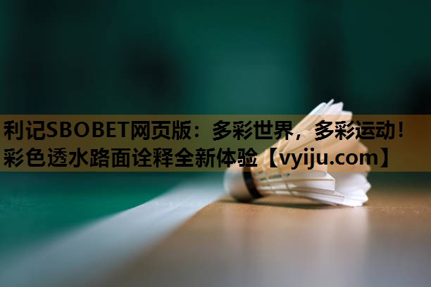 多彩世界,多彩运动!彩色透水路面诠释全新体验 多彩世界,多彩运动!彩色透水路面诠释全新体验