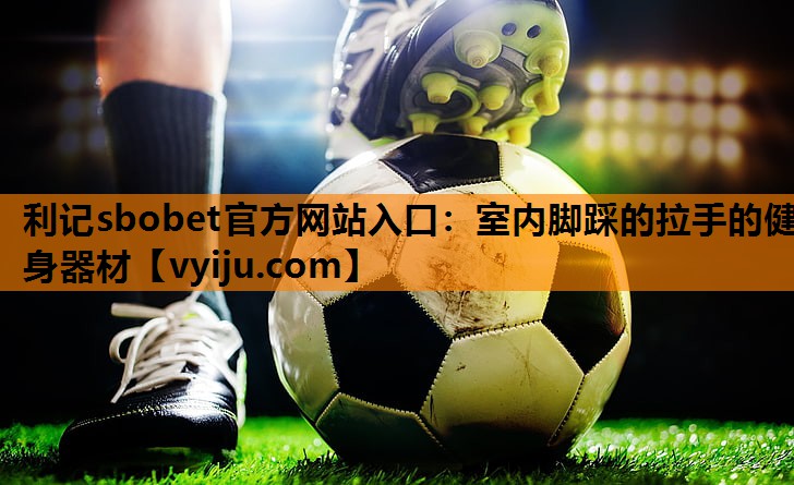 利记sbobet官方网站入口：室内脚踩的拉手的健身器材