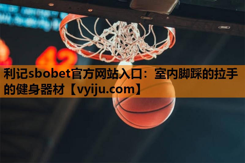 室内脚踩的拉手的健身器材 室内脚踩的拉手的健身器材