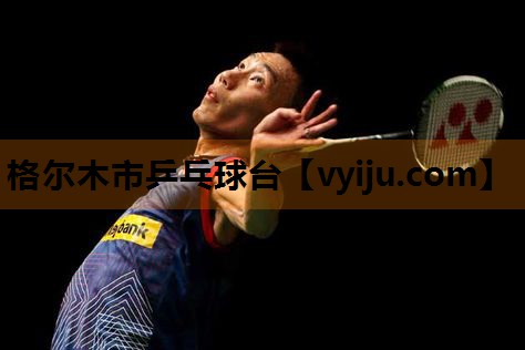 格尔木市乒乓球台 格尔木市乒乓球台